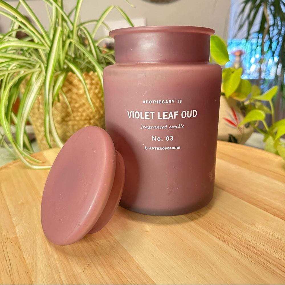 Repurposed Anthropologie Apothecary 18 Candle Jar – Plum Frosted Glass w/ Lid